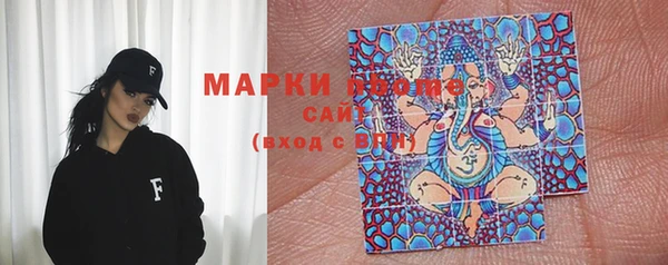 PSILOCYBIN Алзамай