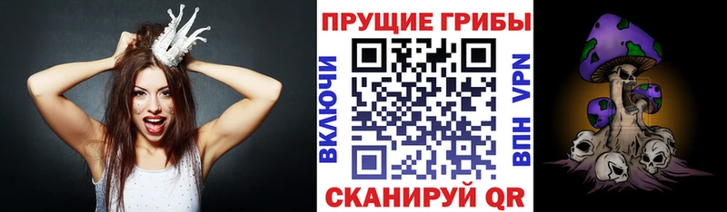 Галлюциногенные грибы Psilocybine cubensis  наркота  Талица 